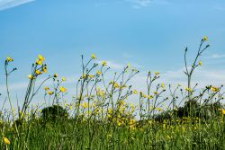 Foto di David Griffiths su Unsplash