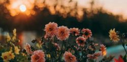Foto di Irina Iriser su Unsplash