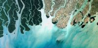 Leggi tutto: Far circolare vita