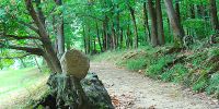 Lire la suite : Slideshow in home page francais