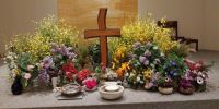Leggi tutto: Slideshow in home page Civitella