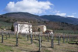 Assise, mars 2011