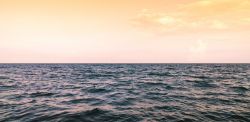 Photo by Marek Piwnicki on Unsplash
