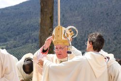 Pieve di Cellole, 7 aprile 2013