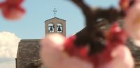 Leggi tutto: Settimana Santa e Pasqua 2025 - orari