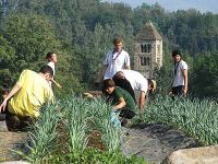 Ler mais: Acampamentos de verão